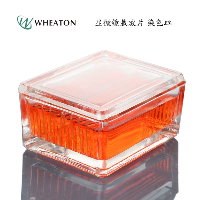 wheaton 染色皿 900170