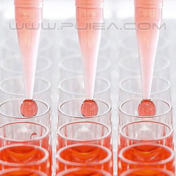 Dailove 耐溶剂手套（无内衬）