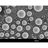 SEM 锡球颗粒/分辨率测定标样