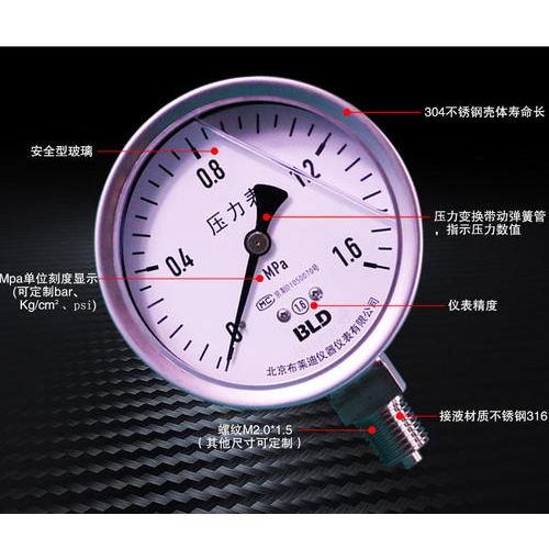 布莱迪 全不锈钢耐震膜片微压表BFN