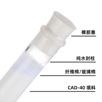 CAD-40大孔吸附树脂离子交换柱