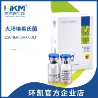 环凯 Q-Strain 10³大肠埃希氏菌