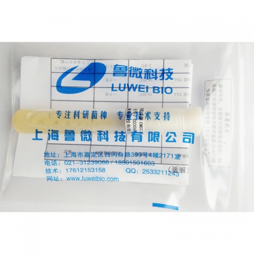 大肠埃希氏菌