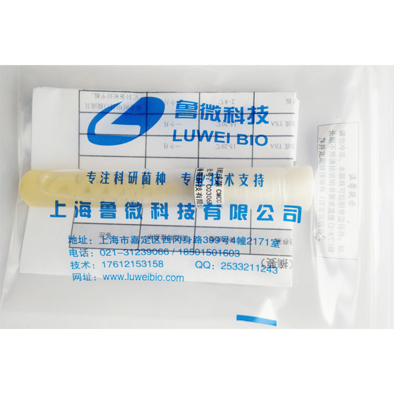 大肠埃希氏菌
