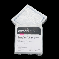 epredia 免疫组化阳离子防脱载玻片