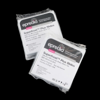 epredia 免疫组化阳离子防脱载玻片