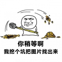氟膜采气袋