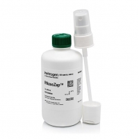 Invitrogen RNase去污溶液