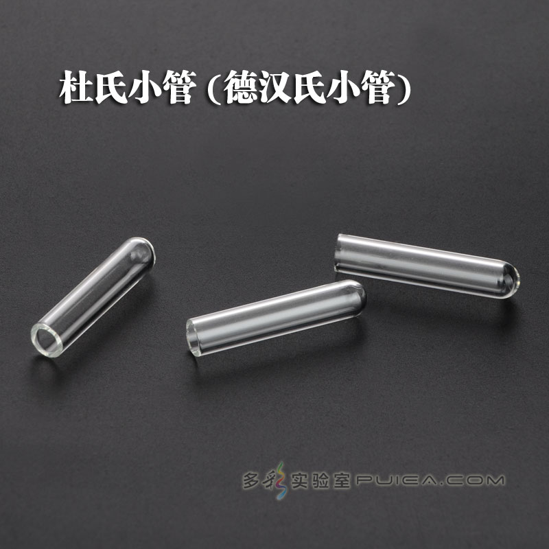 小发酵试管