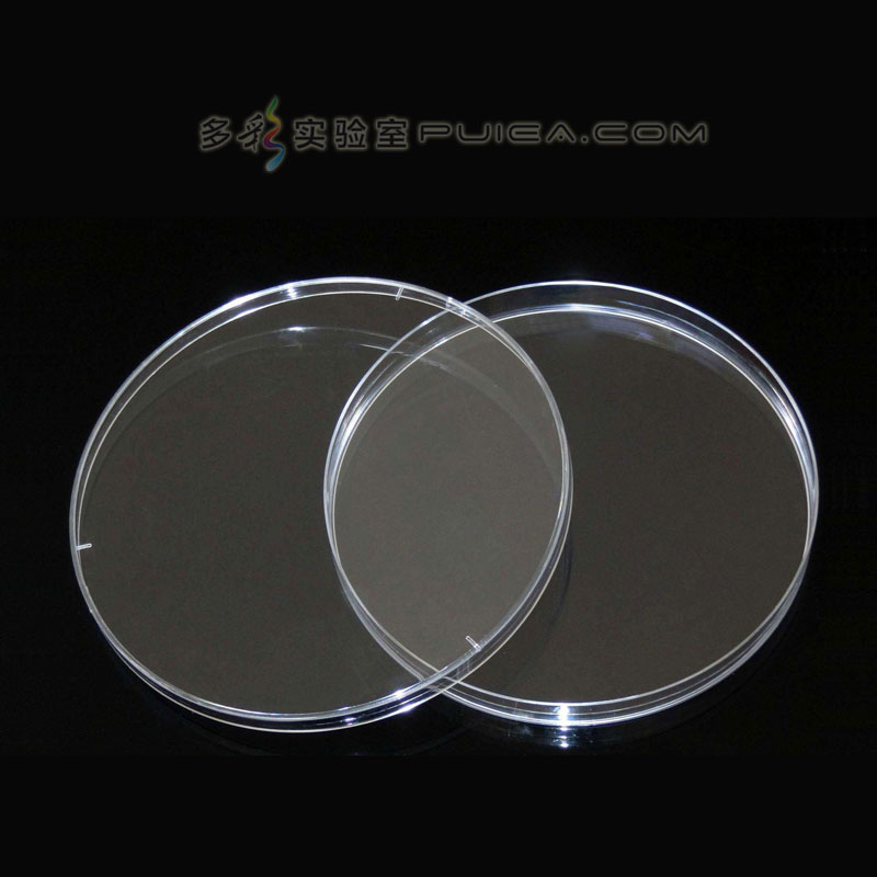 RICH LAB 细菌培养皿